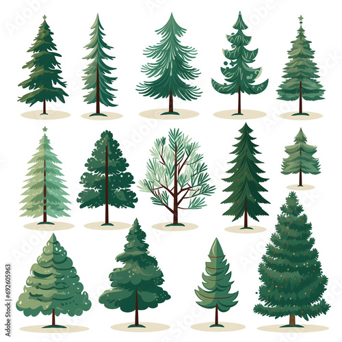 Fir free evergreen plants set winter christmas plants botanical set clipart forest illustrations minimalism printable textile wrapping paper icons © lidianureeva