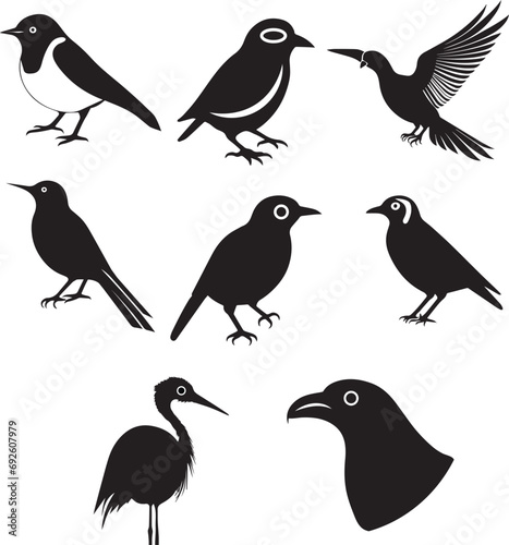 Different Types Of Birds Vector Illustration