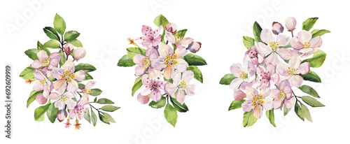 Watercolor spring sakura pink flowers and leaves branch Hand painted realistic botanical illustration isolated on white background for cards invitations and posters