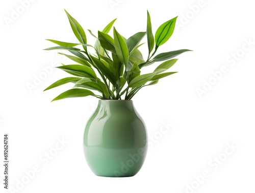 Elegant Vase with Lush Green Plant  isolated on a transparent or white background