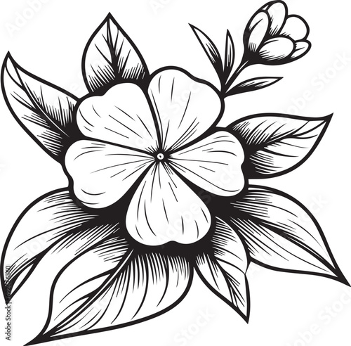 madagascar periwinkle drawing, catharanthus roseus sadabahar drawing, Small periwinkle flower tattoo for kids, hand-drawn periwinkle flower, periwinkle line art, vinca flower home wall decor photo