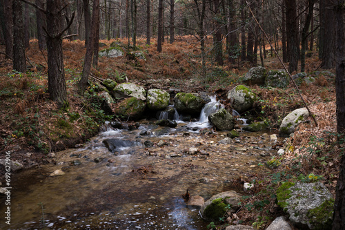 Small river with waterfalls in the forest