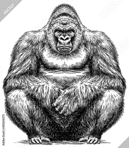 Vintage engraving isolated gorilla set illustration ape ink sketch. Monkey kong background primate silhouette art. Black and white hand drawn vector image