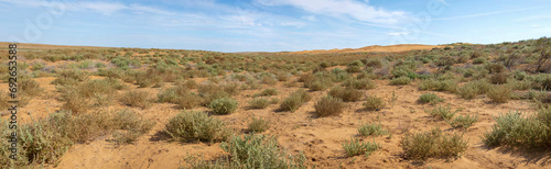Panorama of the semi-desert 