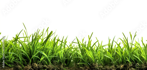 Illustration of green grass isolated on white background. Generative AI
