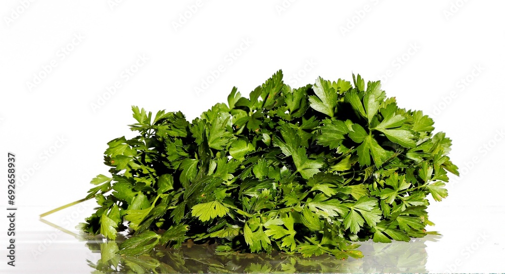 Obraz premium Bunch of fresh green parsley on a white background.