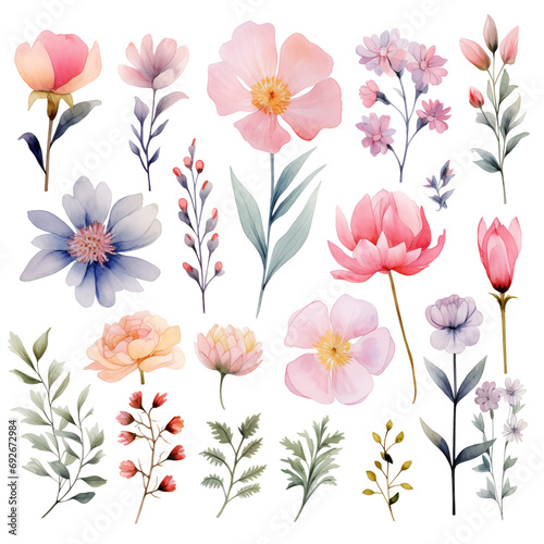 Collection of Watercolor Flowers in Shades of Purple and Pink  blue and peach  isolated from Background  set of stickers  textile pattern  greeting cards  DIY  collage