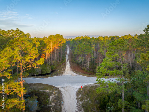 road crossing at sunrise - Apalachicola National Forest in Florida, aerial view