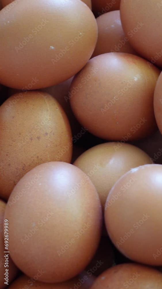 Vertical Video of Eggs Vertical Video of Eggs