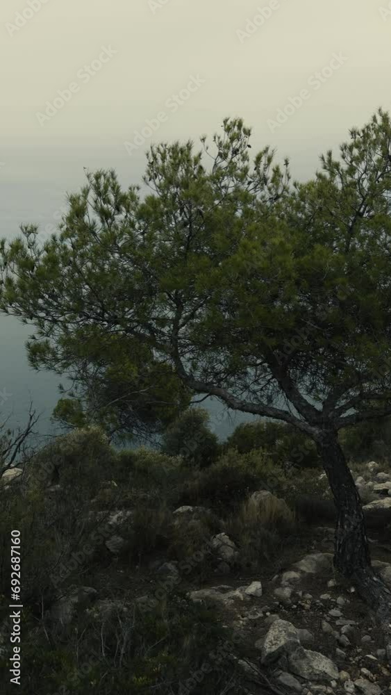 Walk through the hills on Spain's Mediterranean coast. High quality FullHD footageTake an evening stroll through the hills of Spain's Mediterranean coast. Narrow paths with stones high above sea level