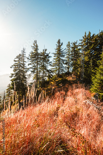 Mountain Tatras landscape. View from Jasna valley in Low Tatras. Hiking from demenovska valley to Sina peak in Low Tatras, Liptov, Slovakia photo