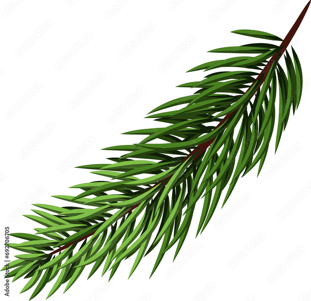 Spruce branch.green tree branch. Coniferous evergreen branch, close-up . Christmas decor.transparent, png, illustration Spruce branch.green tree branch. Coniferous evergreen branch, close-up . Christmas decor.transparent, png, illustration
