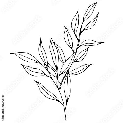 Vector branch with leaves. Elegant illustration for wedding cards  polygraphy  logo  tattoo. Hand drawing monochrome botanical art for backgrounds. Temlate with graphic branch art.