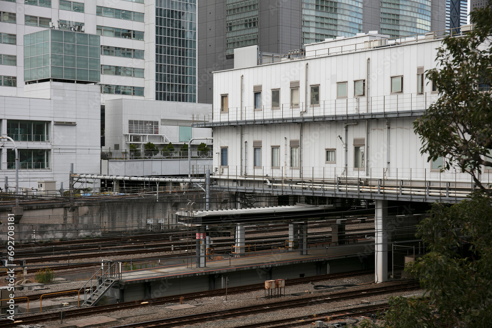 Railway system in Tokyo Railway system in Tokyo
