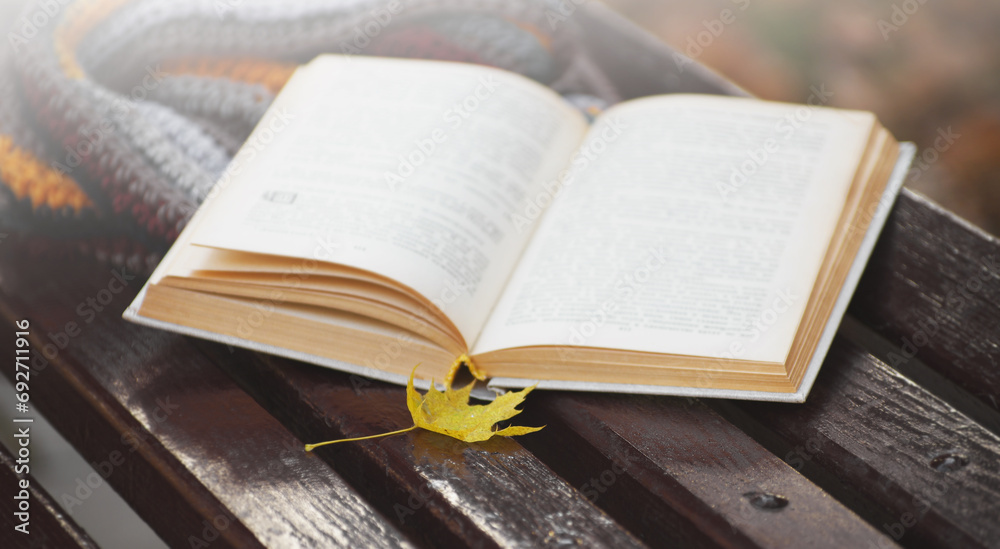 Fototapeta premium Open book on autumn park background.