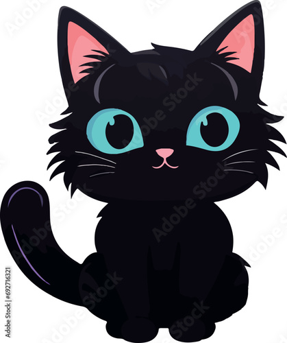 black cat in white background 