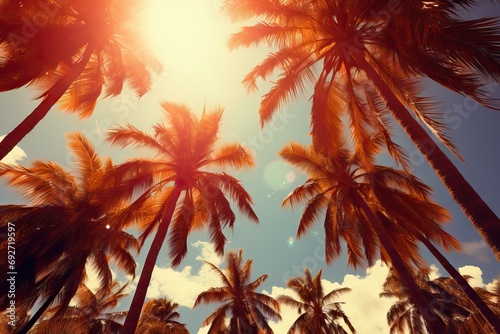 concept weather lifestyle tourism vacation travel fashion Summer trees palm tall shining Sun los tree california beach la sunset hot colours gold light background water peaceful sunlight wallpaper © akkash jpg