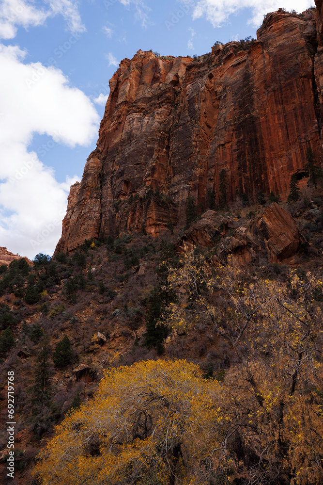 jutting red mountain, zion national park