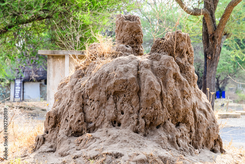 Giant termite mound at the Serengeti national park, Tanzania photo