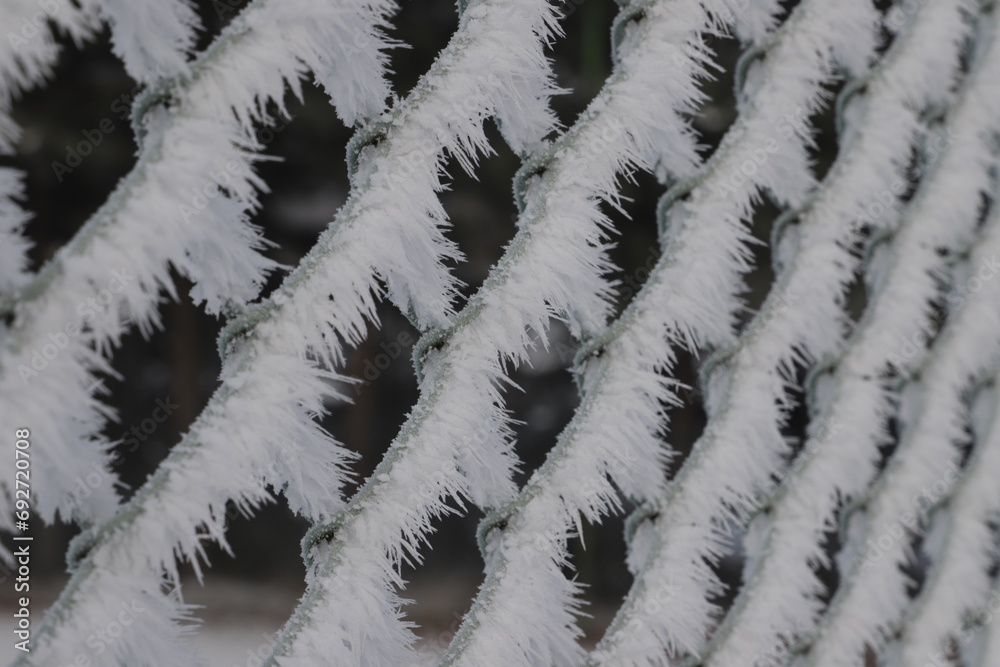 Zimowe rzeźby wiatru na siatce ogrodzeniowej. - obrazy, fototapety, plakaty 