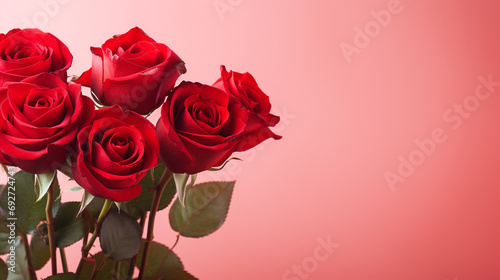 Beautifully captured red roses on a gentle pale red background  creating a harmonious and charming visual with copyspace  highlighting the elegance of these flowers in a high-definition photograph.