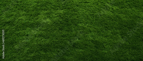 green Grass texture background,Soccer field in football stadium background, can be used for printed materials like brochures, flyers, business cards.   © png-jpeg-vector