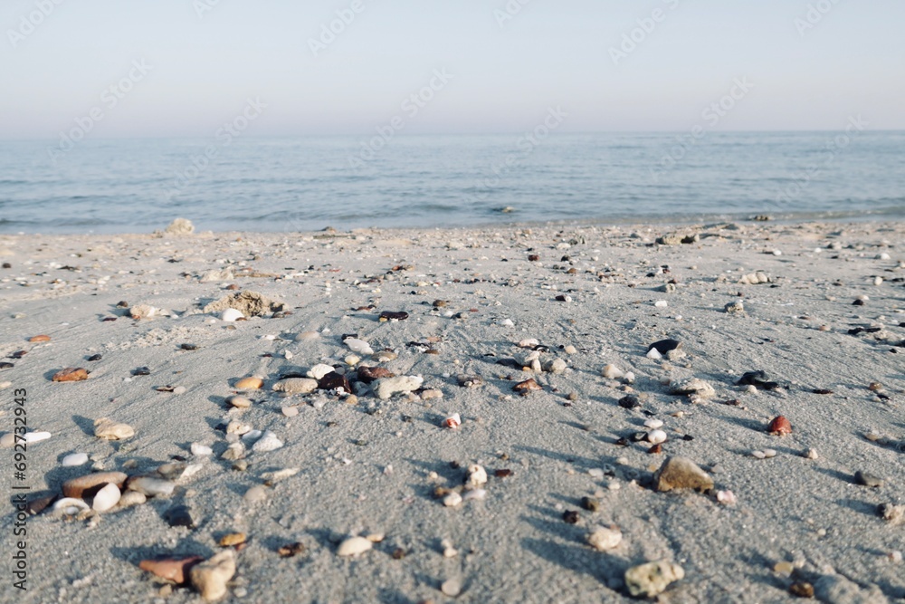 beach and sea