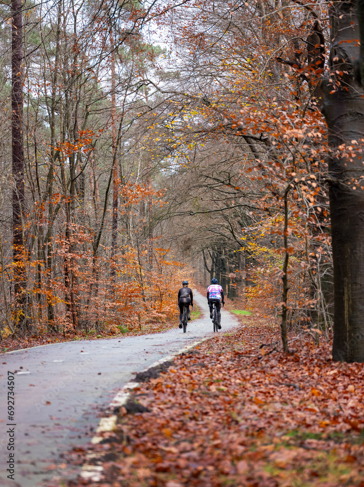 man and woman on bicycle on track through forest near utrecht in holland