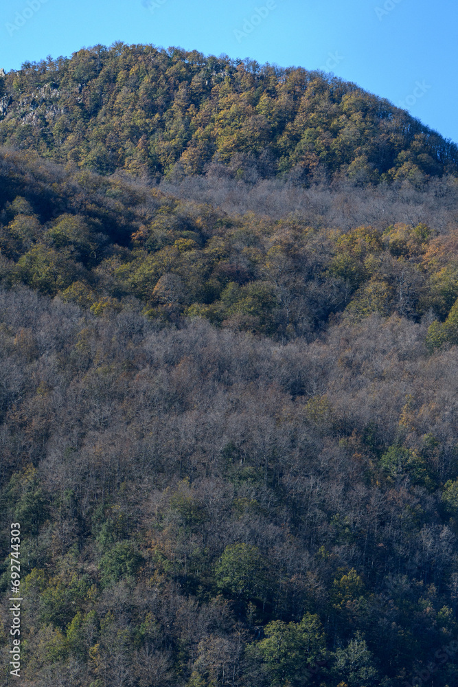 Scenic view from Akfadou Forest, Bejaia, Algeria Scenic view from Akfadou Forest, Bejaia, Algeria