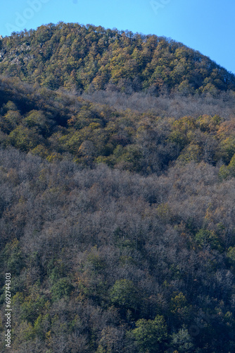 Scenic view from Akfadou Forest, Bejaia, Algeria