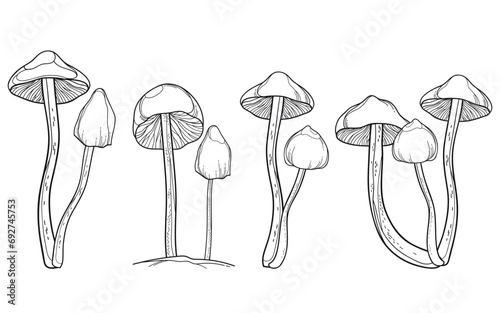 Set with outline Psilocybe mushroom (Liberty Cap) in black isolated on white background. 