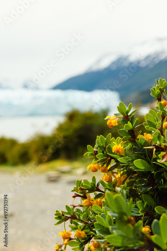 Glaciar Perito Moreno, El Calafate, Argentina, Patagonia