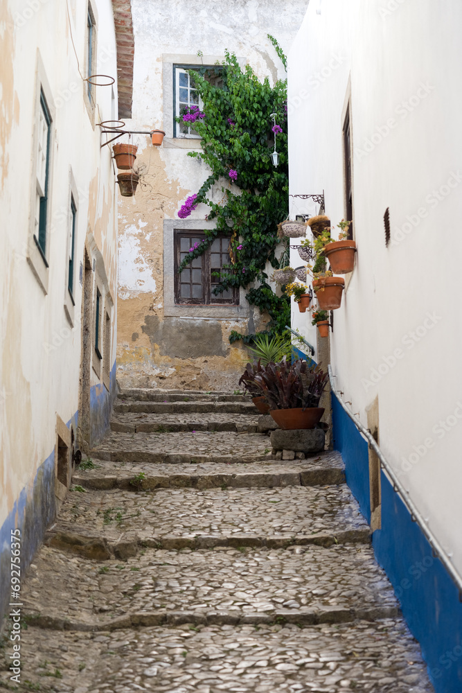 Typical cobbled Portuguese street in Obidos with white, yellow and blue walls.
