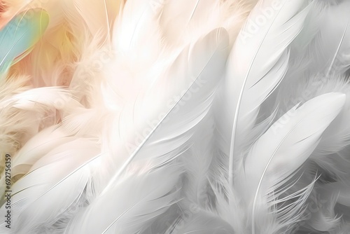 design art color soft style blur texture feather chickens Bird background Abstract colours pattern closeup beautiful light fashion animal wallpaper nature fluffy delicate decoration love concept photo