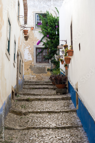 Typical cobbled Portuguese street in Obidos with white, yellow and blue walls.