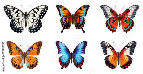 Set of butterflies. © shivaniii