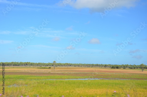sertao do Piauí, céu azul 