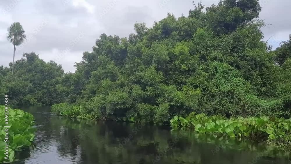 paisagem natural na região do pantanal sul, na cidade na Miranda, Estado do Mato Grosso do Sul, Brasil paisagem natural na região do pantanal sul, na cidade na Miranda, Estado do Mato Grosso do Sul, Brasil