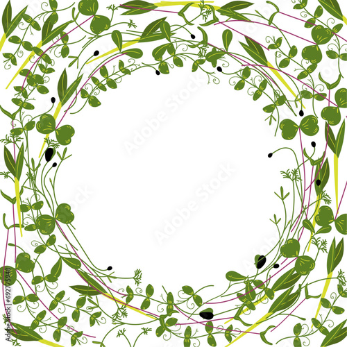 Microgreen frame (peas, onion, cress, cabbage, sunflower, corn, carrot, beet). Useful eco-product. Flat design. Healthy green seedlings. Multicolored hand drawn vector illustration for cards, business