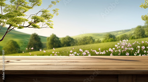 beautiful spring meadow background for product placement