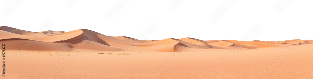 panorama of the desert, cut out - stock png. - obrazy, fototapety, plakaty 