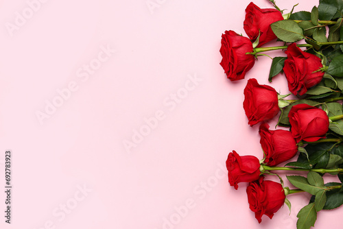 Red roses on pink background. Valentine's day concept