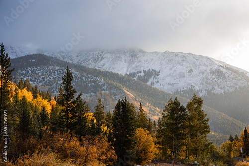 Fall foliage in Colorado with Snowy mountains