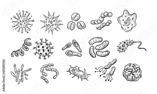 bacteria virus handdrawn collection