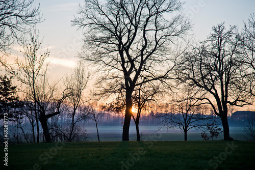 A row of trees before a sunset in Winter