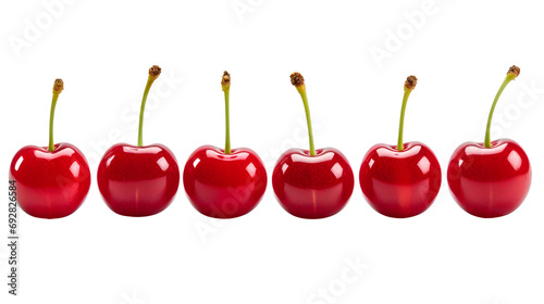 Isolated cherries in a row. Whole sweet cherry