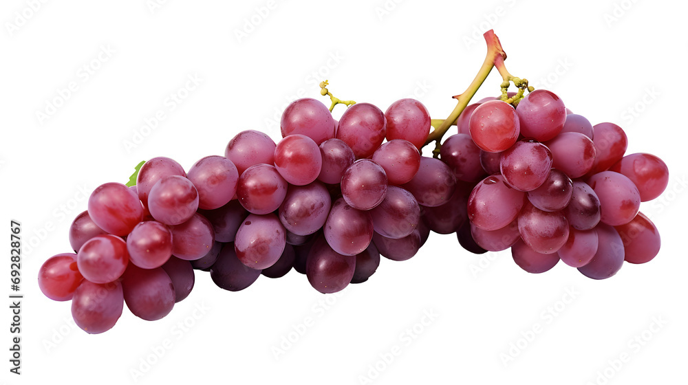 Isolated grape. Bunch of red grapes with leaves on a branch of vine isolated on white background
