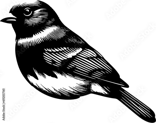 Painted Bunting icon 6