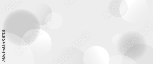 Soft grey spheres background. Abstract light floating bubbles and balls wallpaper. Gray blur gradient circles backdrop. Horizontal design template for banner, poster, presentation, brochure. Vector