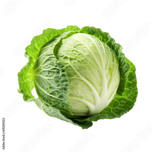 Fresh cabbage isolated on transparent background,transparency 